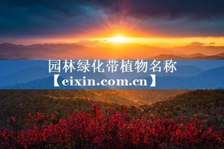 园林绿化带植物名称