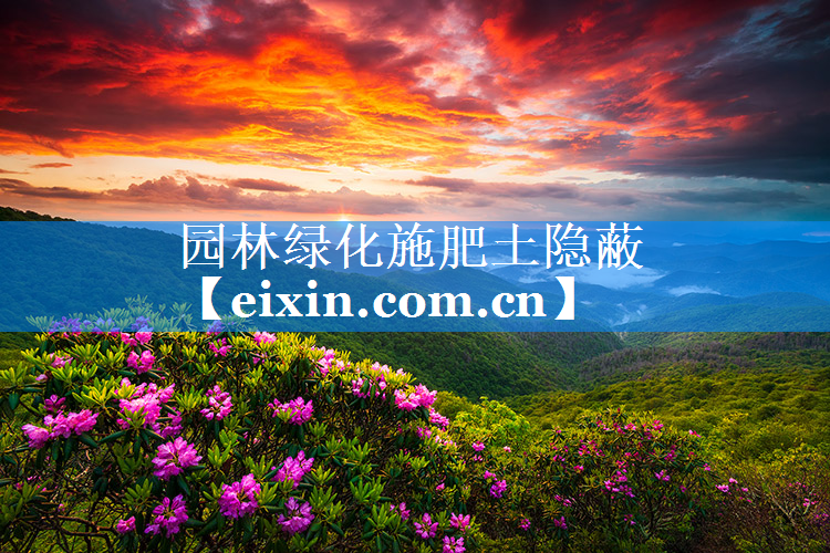 园林绿化施肥土隐蔽