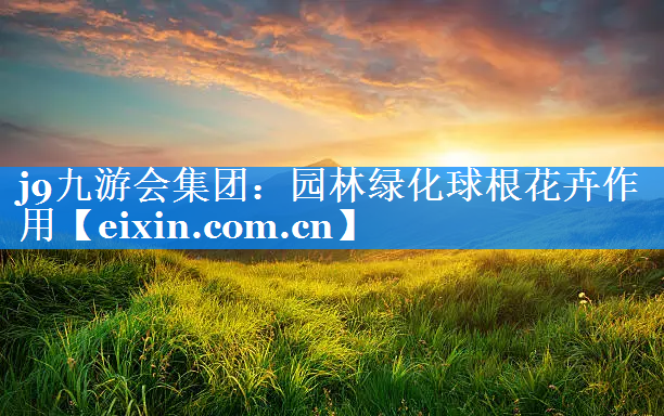 园林绿化球根花卉作用