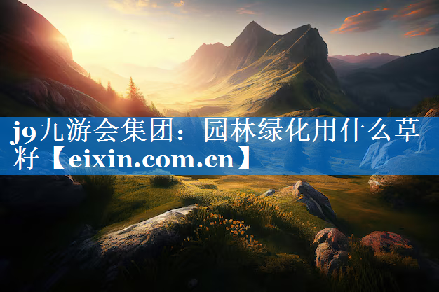园林绿化用什么草籽