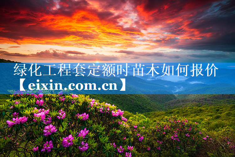 绿化工程套定额时苗木如何报价