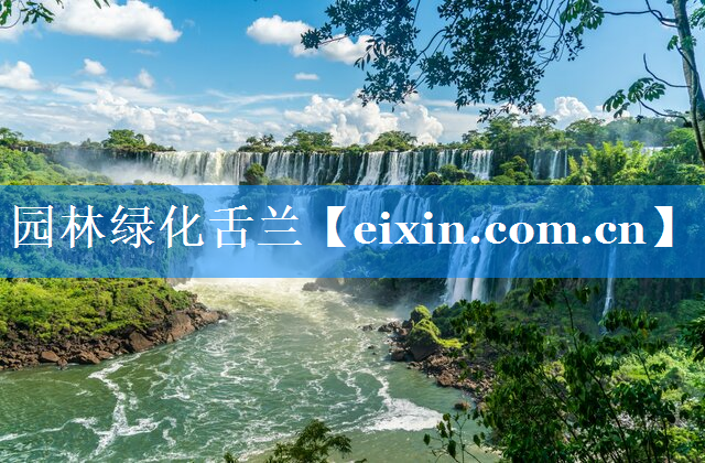 园林绿化舌兰