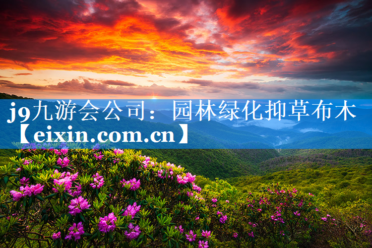 园林绿化抑草布木