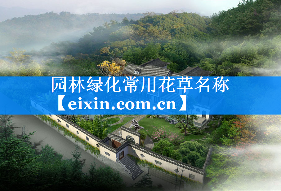 园林绿化常用花草名称