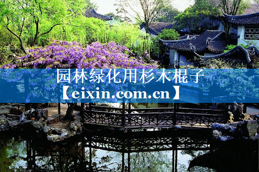 园林绿化用杉木棍子