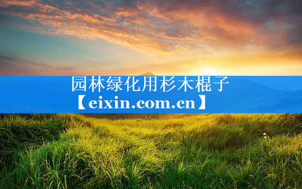 园林绿化用杉木棍子