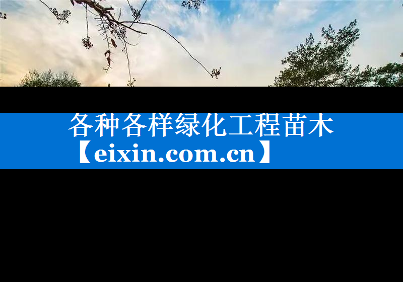 各种各样绿化工程苗木