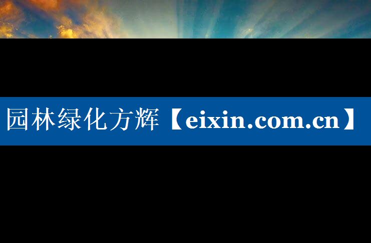 园林绿化方辉