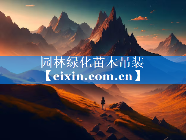 园林绿化苗木吊装