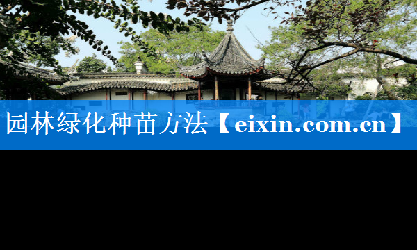 园林绿化种苗方法