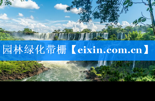 园林绿化带栅