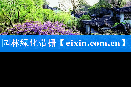 园林绿化带栅