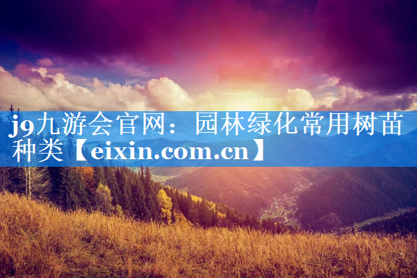 园林绿化常用树苗种类