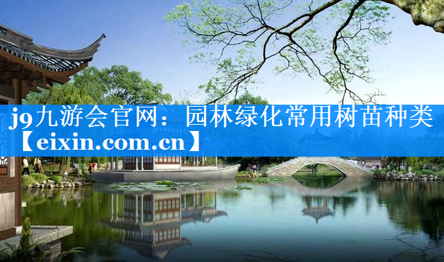 园林绿化常用树苗种类