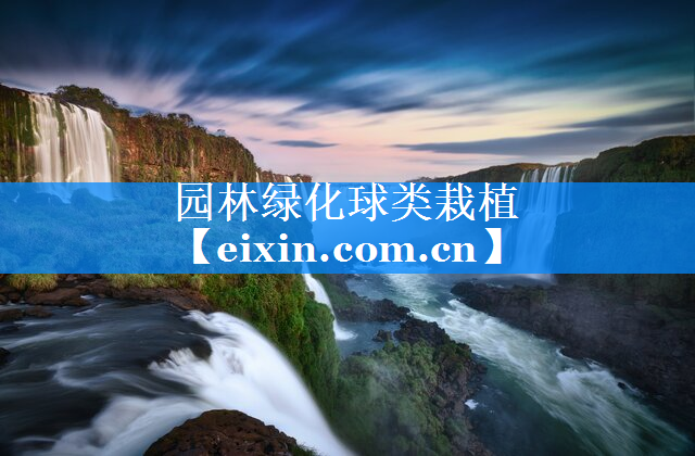 园林绿化球类栽植