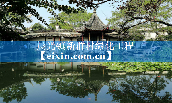 晨光镇新群村绿化工程