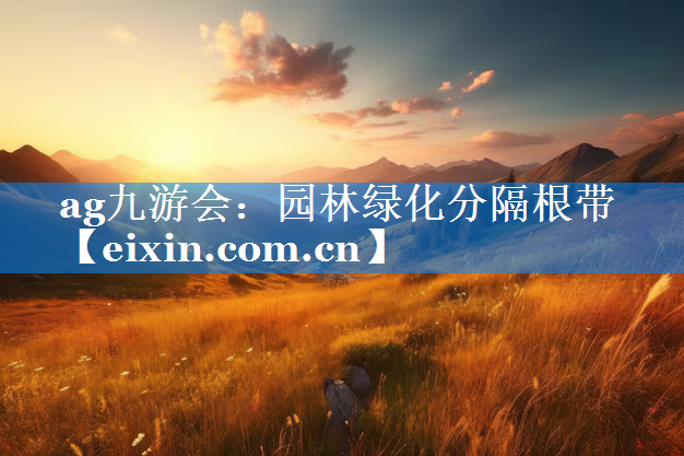 园林绿化分隔根带