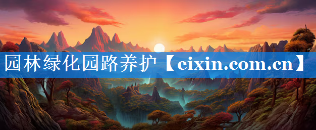 园林绿化园路养护