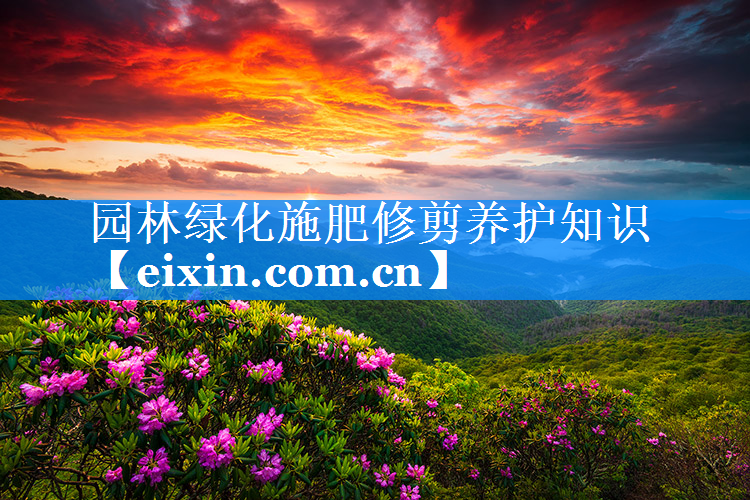 园林绿化施肥修剪养护知识