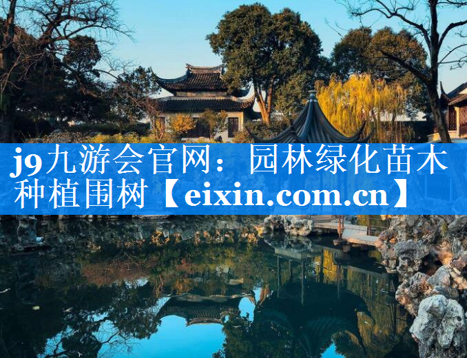 园林绿化苗木种植围树