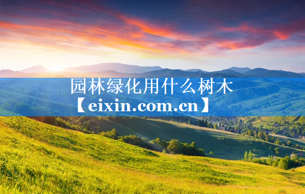 园林绿化用什么树木