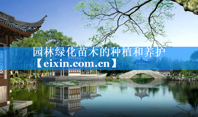 园林绿化苗木的种植和养护