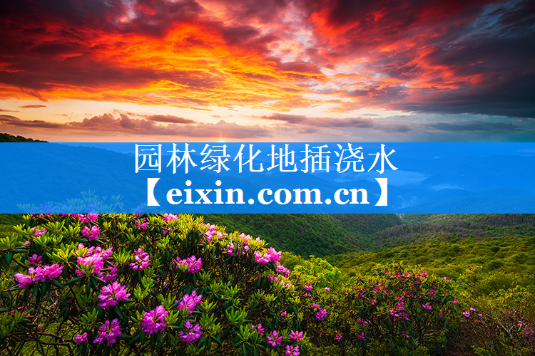 园林绿化地插浇水
