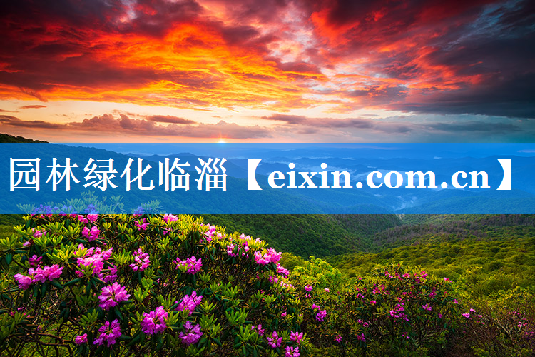 园林绿化临淄