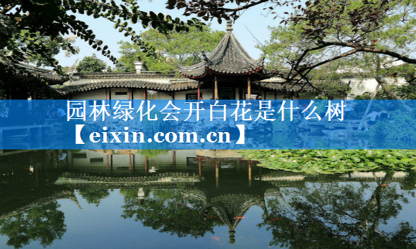 园林绿化会开白花是什么树