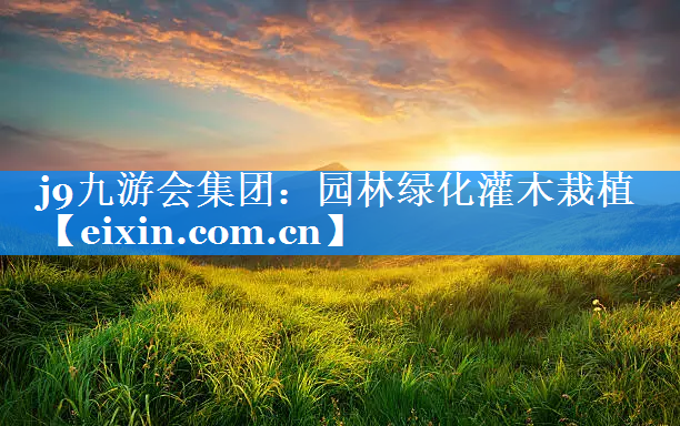园林绿化灌木栽植