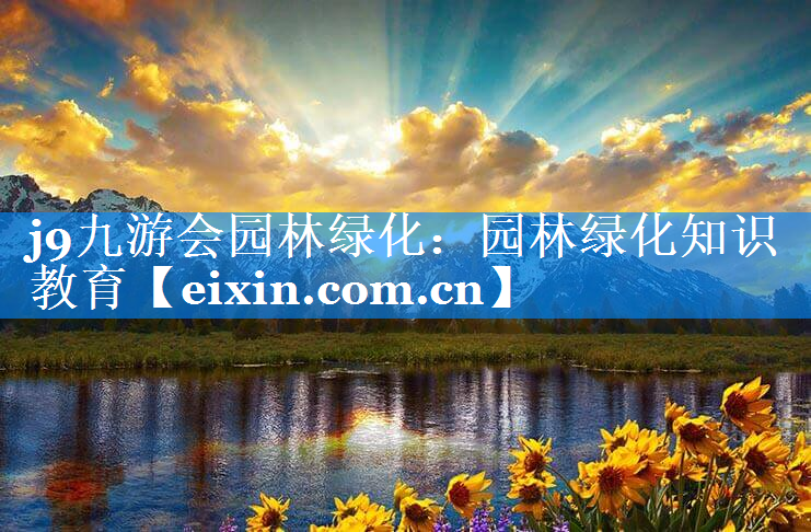 园林绿化知识教育