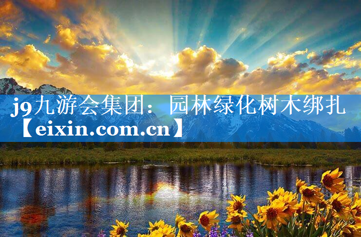 园林绿化树木绑扎