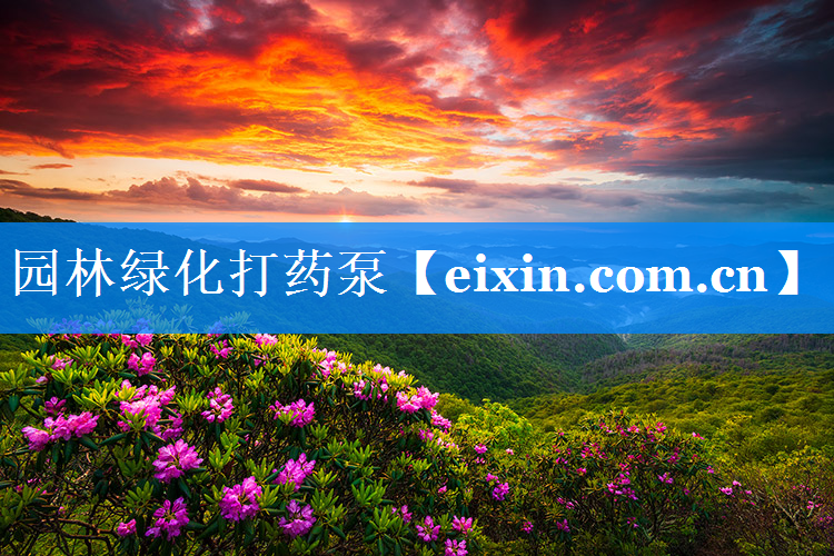园林绿化打药泵