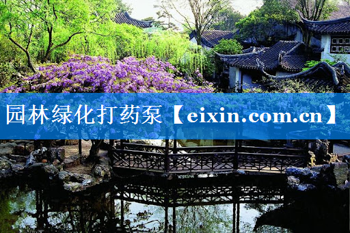 园林绿化打药泵