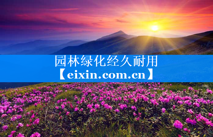 园林绿化经久耐用