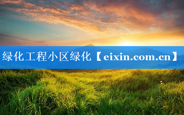绿化工程小区绿化