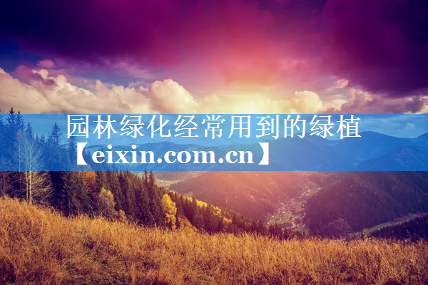 园林绿化经常用到的绿植