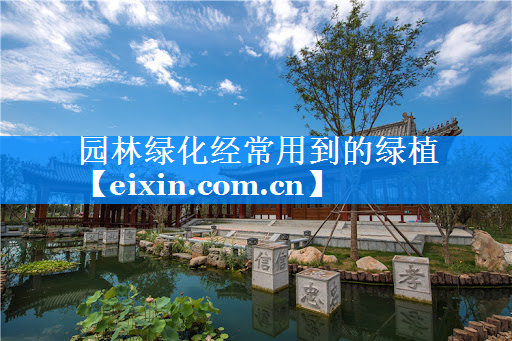 园林绿化经常用到的绿植