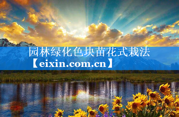 园林绿化色块苗花式栽法
